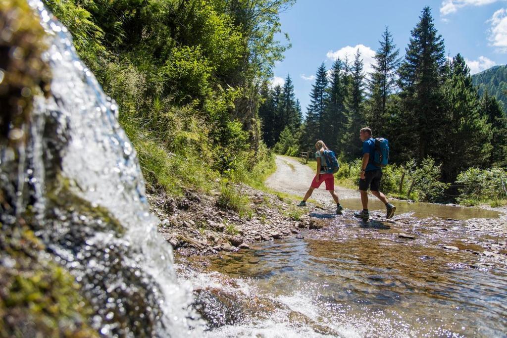 Family- Home Alpenblick Dellach im Drautal エクステリア 写真