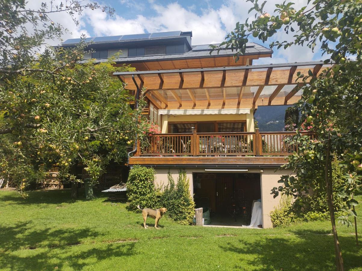 Family- Home Alpenblick Dellach im Drautal エクステリア 写真